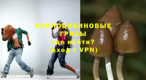 не бодяженный Горнозаводск